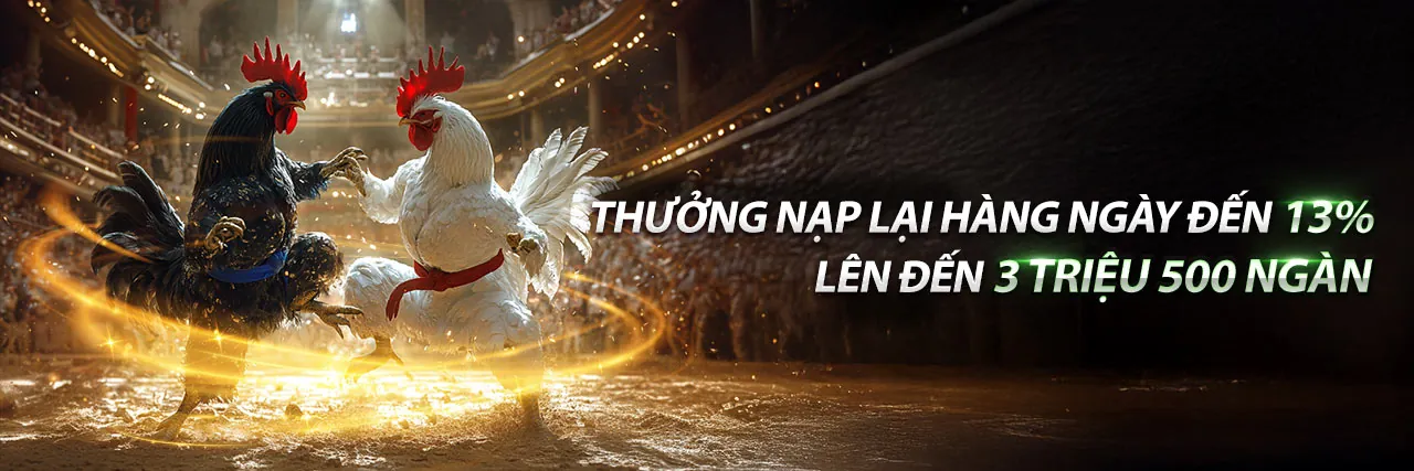 Đá gà trực tuyến trên Win8